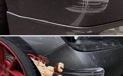 Hilarious Car Scratch Memes You Will Laugh at Every Time